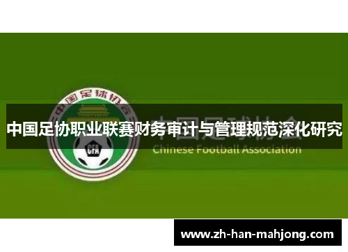 中国足协职业联赛财务审计与管理规范深化研究 中国足协职业联赛财务审计与管理规范深化研究