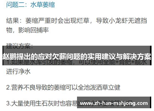 赵鹏提出的应对欠薪问题的实用建议与解决方案